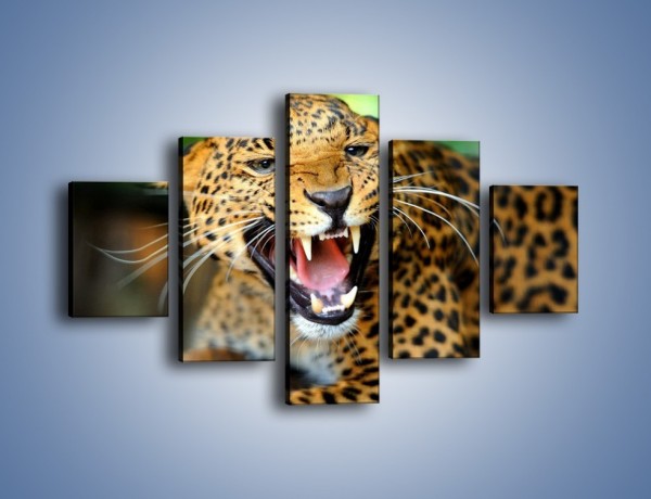 Obraz na płótnie – Jaguar z pazurem – pięcioczęściowy Z184W1