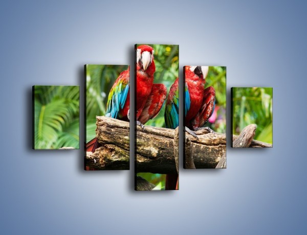 Obraz na płótnie – Papużki nierozłączki – pięcioczęściowy Z188W1