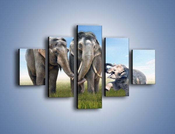 Obraz na płótnie – Przebij łapę ze słoniątkiem – pięcioczęściowy Z208W1