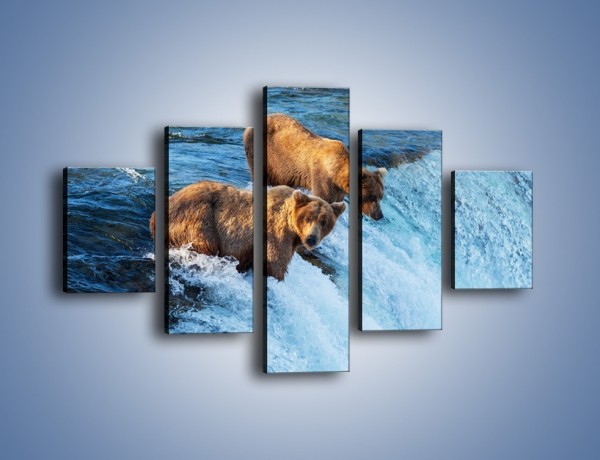 Obraz na płótnie – Niedźwiedzie na zjeżdżalni – pięcioczęściowy Z213W1