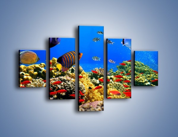 Obraz na płótnie – Kolory tęczy pod wodą – pięcioczęściowy Z220W1