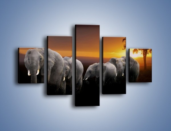 Obraz na płótnie – Powrót słoni do domu – pięcioczęściowy Z229W1