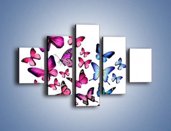 Obraz na płótnie – Rodzina kolorowych motyli – pięcioczęściowy Z235W1