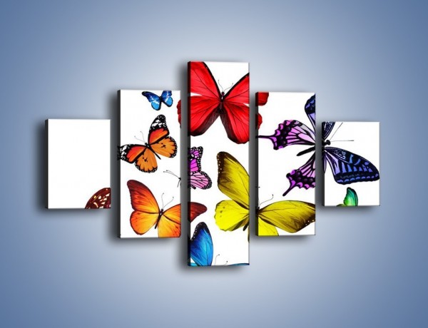Obraz na płótnie – Kolorowo wśród motyli – pięcioczęściowy Z236W1
