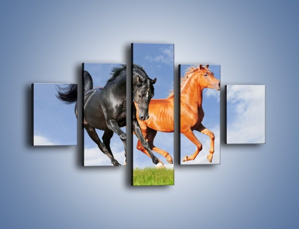 Obraz na płótnie – Czarny rudy i koń – pięcioczęściowy Z241W1