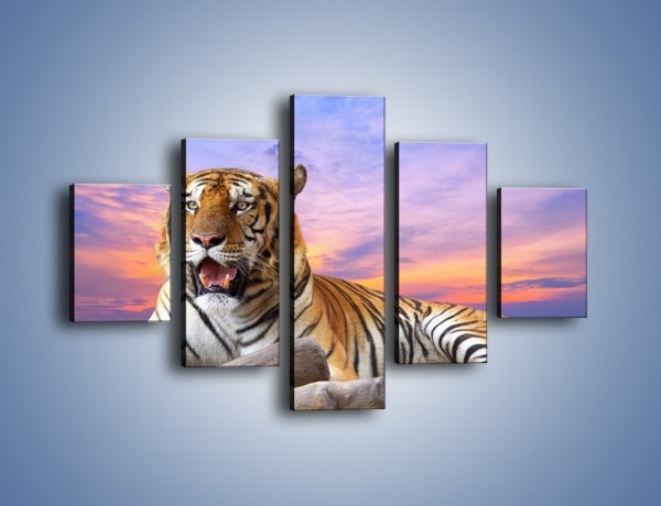 Obraz na płótnie – Tygrys o zachodzie słońca – pięcioczęściowy Z246W1
