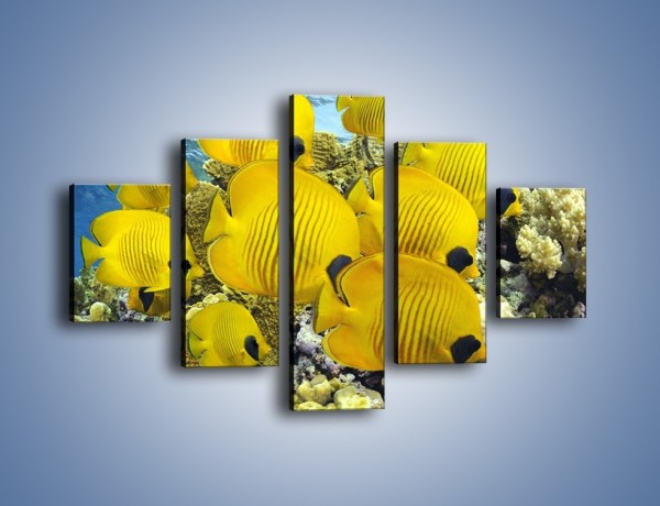 Obraz na płótnie – Słoneczne ryby w oceanie – pięcioczęściowy Z252W1