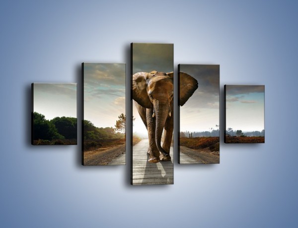 Obraz na płótnie – Słoń w poszukiwaniu rodziny – pięcioczęściowy Z256W1