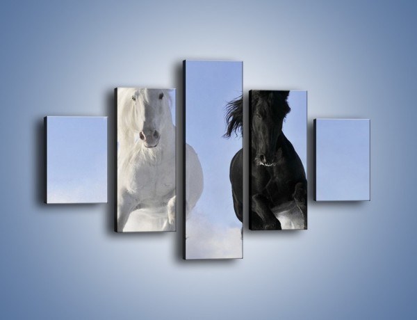 Obraz na płótnie – Czarno-biały wyścig konny – pięcioczęściowy Z263W1