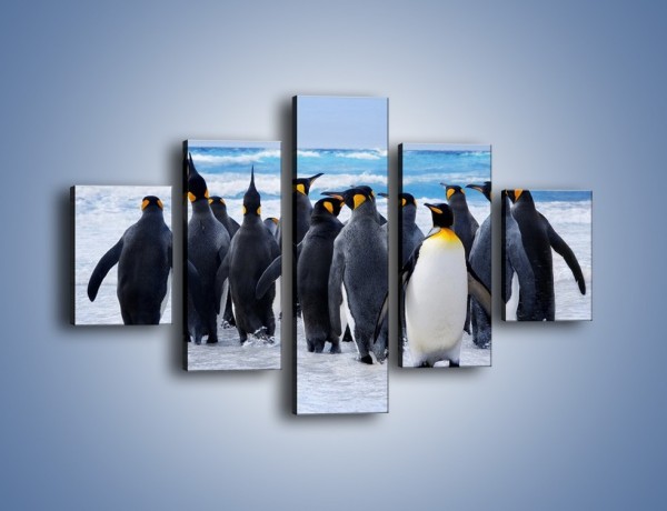 Obraz na płótnie – Narada pingwiniej rodziny – pięcioczęściowy Z272W1