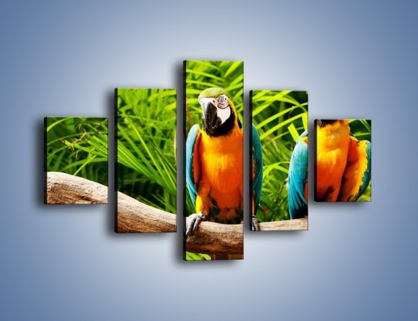 Obraz na płótnie – Papugi na tle paproci – pięcioczęściowy Z278W1