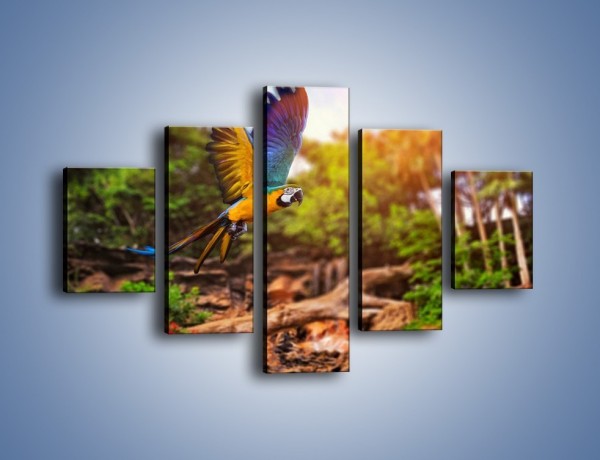 Obraz na płótnie – Kolorowa papuga w locie – pięcioczęściowy Z280W1