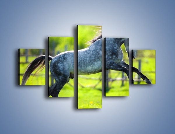 Obraz na płótnie – Koń w zagrodzie wiejskiej – pięcioczęściowy Z289W1