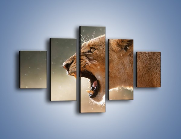 Obraz na płótnie – Ostrzeżenie lwiej samicy – pięcioczęściowy Z299W1