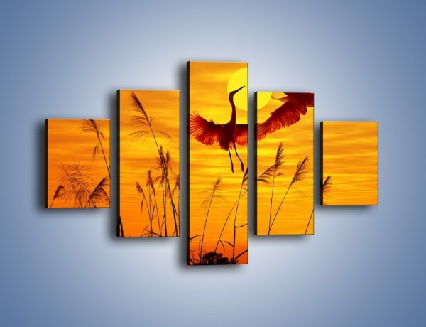 Obraz na płótnie – Czaple i zachód słońca – pięcioczęściowy Z302W1