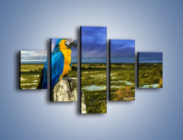 Obraz na płótnie – Papuga w kolorze wzburzonego nieba – pięcioczęściowy Z320W1
