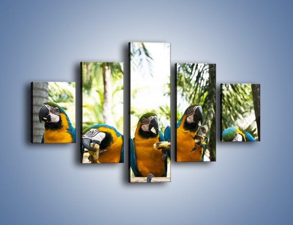 Obraz na płótnie – Piknik z papugami – pięcioczęściowy Z322W1