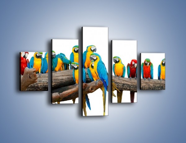 Obraz na płótnie – Kolorowe stado papug – pięcioczęściowy Z326W1