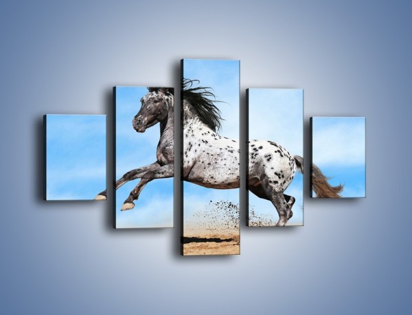 Obraz na płótnie – Rzadko spotykany okaz konia – pięcioczęściowy Z329W1
