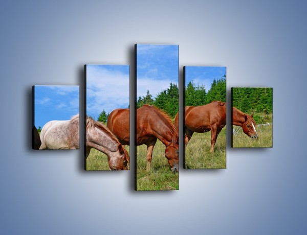 Obraz na płótnie – Spokój las i konie – pięcioczęściowy Z330W1