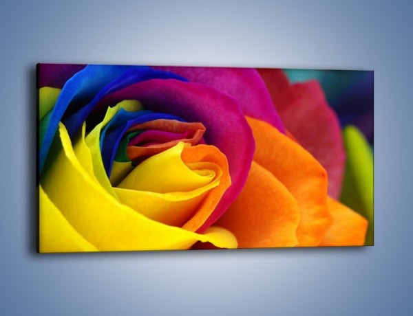 Obraz na płótnie – Pąki róż w kolorach tęczy – jednoczęściowy panoramiczny K973