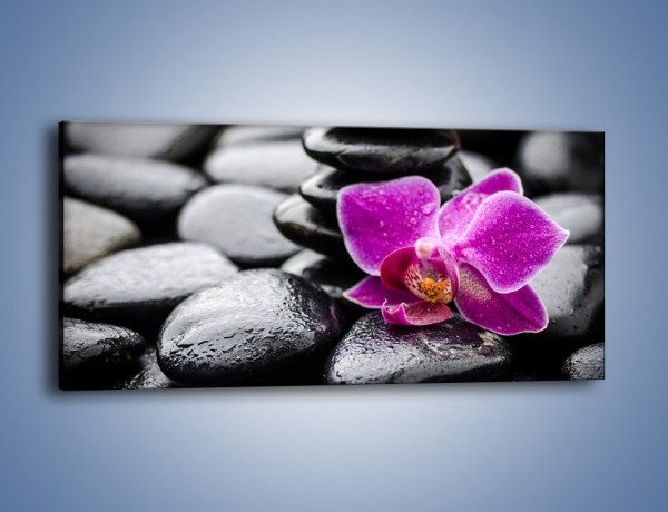 Obraz na płótnie – Malutki kwiatek i morze kamieni – jednoczęściowy panoramiczny K983