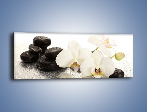 Obraz na płótnie – Mokre kwiaty i kamienie – jednoczęściowy panoramiczny K986