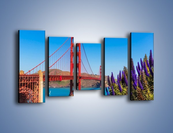 Obraz na płótnie – Golden Gate pod błękitnym niebem – pięcioczęściowy AM644W2