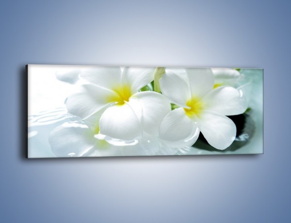 Obraz na płótnie – Białe kwiaty w potoku – jednoczęściowy panoramiczny K991