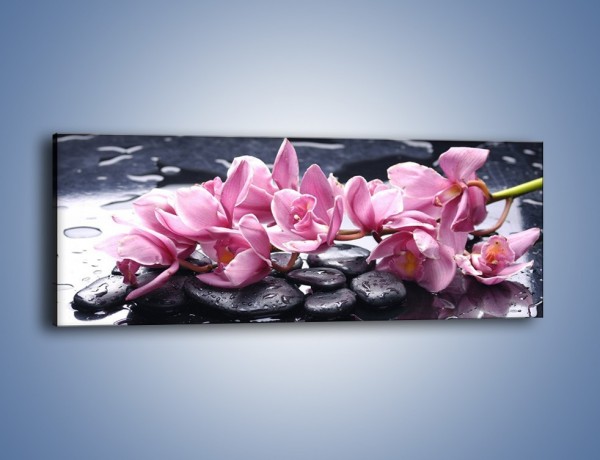 Obraz na płótnie – Rzucone kwiaty na wodę – jednoczęściowy panoramiczny K997