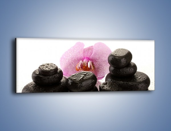 Obraz na płótnie – Kwiat z kamiennym akcentem – jednoczęściowy panoramiczny K999