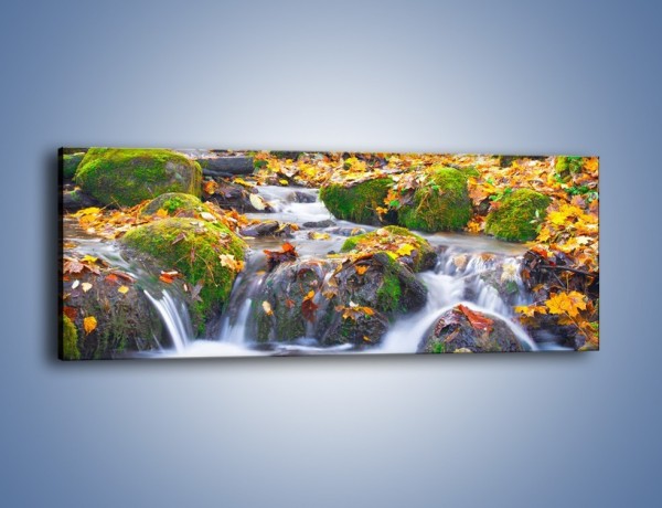 Obraz na płótnie – Liście na wodospadzie – jednoczęściowy panoramiczny KN002