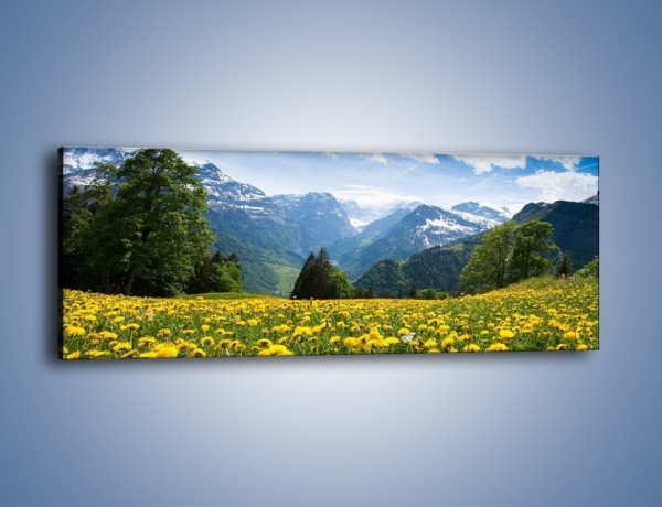 Obraz na płótnie – Łąka mleczy w górach – jednoczęściowy panoramiczny KN008
