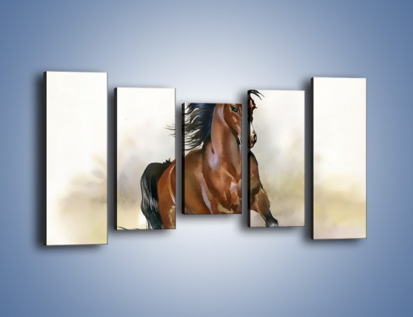 Obraz na płótnie – Piękny koń w galopie – pięcioczęściowy GR338W2