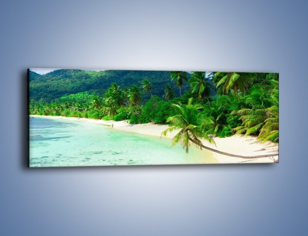 Obraz na płótnie – Życie na bezludnej wyspie – jednoczęściowy panoramiczny KN011