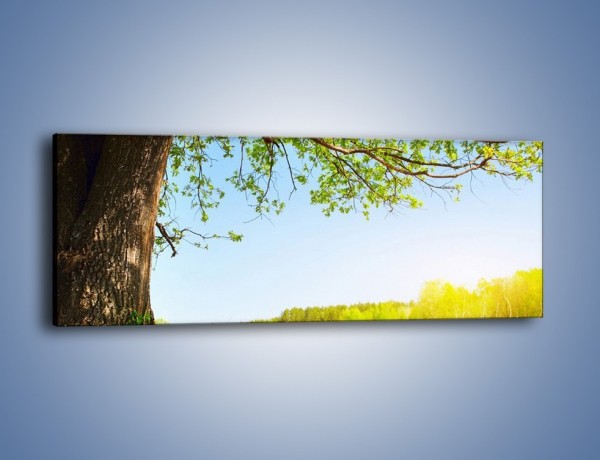 Obraz na płótnie – Drzewo na wsi – jednoczęściowy panoramiczny KN024