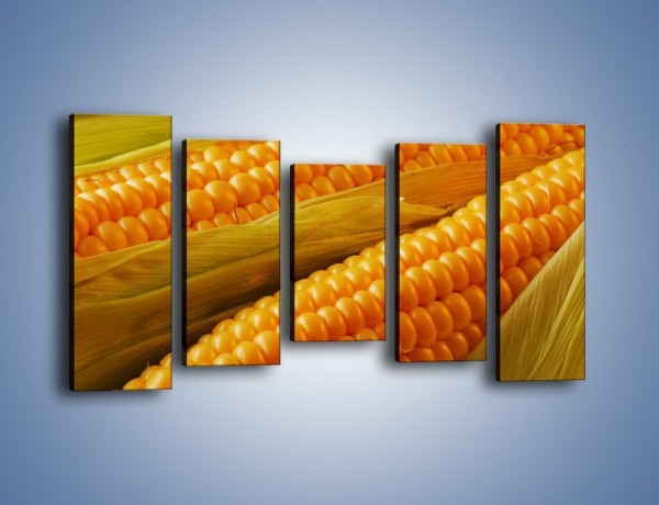Obraz na płótnie – Kolby dojrzałych kukurydz – pięcioczęściowy JN046W2