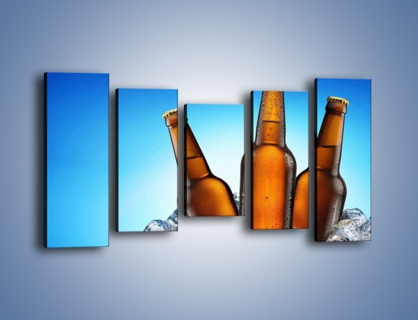 Obraz na płótnie – Szron na butelkach piwa – pięcioczęściowy JN075W2