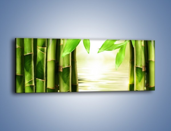 Obraz na płótnie – Bambusowe liście i łodygi – jednoczęściowy panoramiczny KN027
