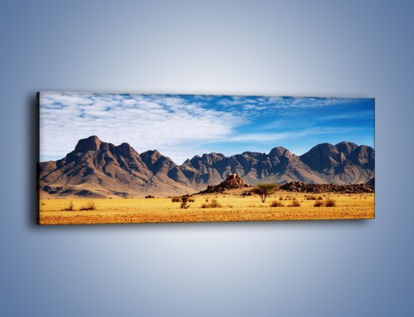Obraz na płótnie – Góry w pustynnym krajobrazie – jednoczęściowy panoramiczny KN030