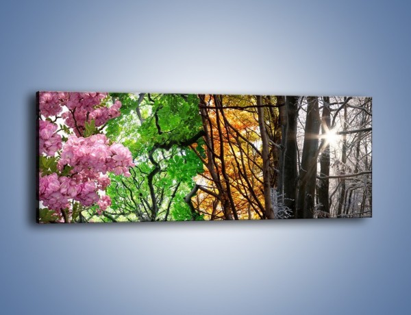 Obraz na płótnie – Drzewa w różnych kolorach – jednoczęściowy panoramiczny KN037