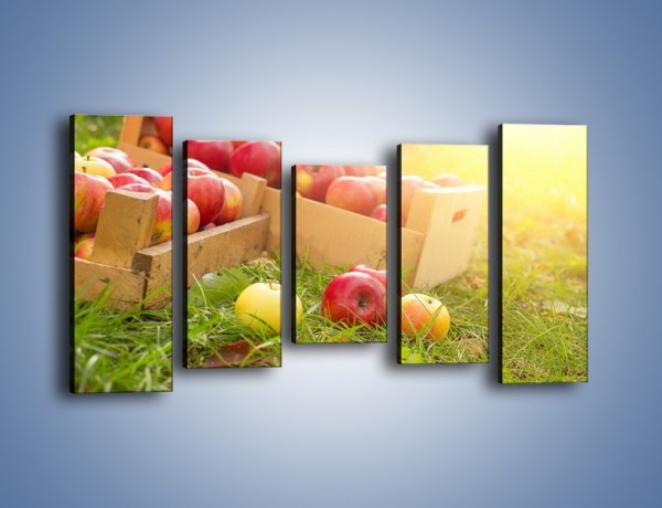 Obraz na płótnie – Jabłka skąpane w trawie – pięcioczęściowy JN628W2