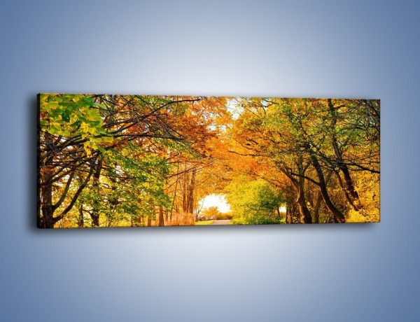 Obraz na płótnie – Jesienna drogą – jednoczęściowy panoramiczny KN064