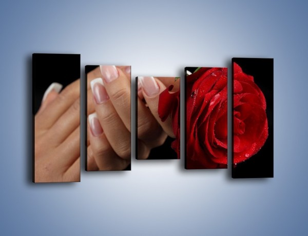 Obraz na płótnie – Kwiat róży w kobiecych dłoniach – pięcioczęściowy K006W2