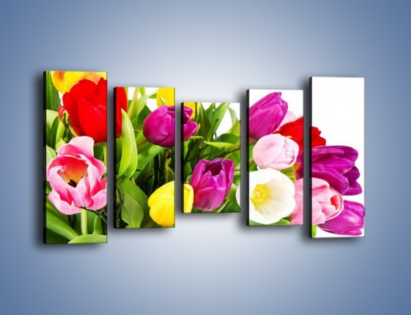 Obraz na płótnie – Kolorowe tulipany w pęku – pięcioczęściowy K023W2