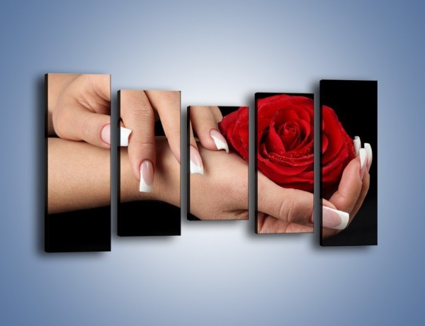 Obraz na płótnie – Czerwona róża w dłoni – pięcioczęściowy K037W2