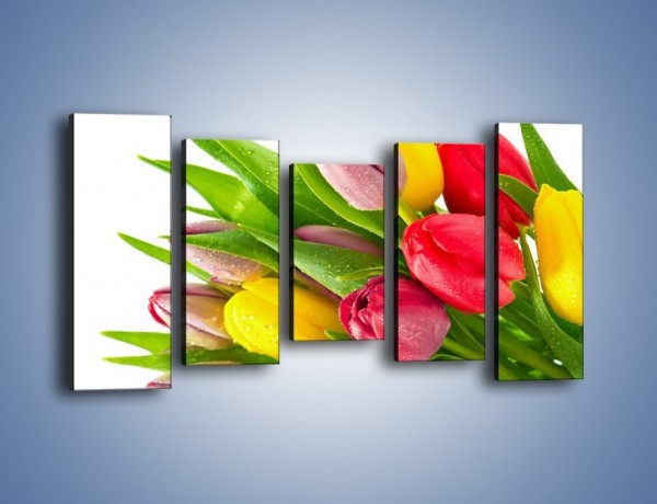 Obraz na płótnie – Kropelki wody na kolorowych tulipanach – pięcioczęściowy K049W2