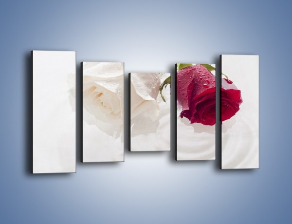 Obraz na płótnie – Róża biała czy czerwona – pięcioczęściowy K077W2
