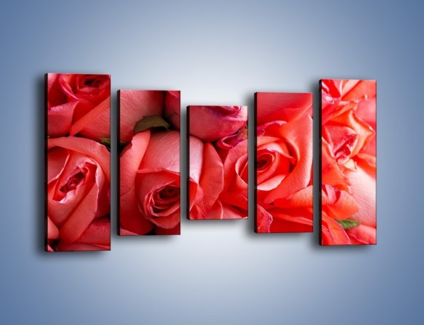 Obraz na płótnie – Tylko widoczne róże – pięcioczęściowy K1004W2