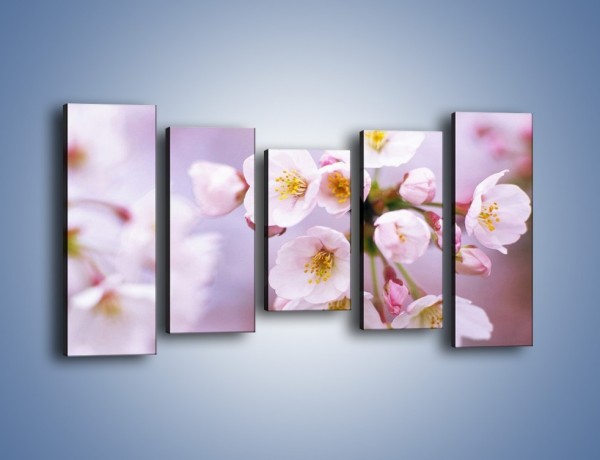 Obraz na płótnie – Gałązka kwiatów jabłoni – pięcioczęściowy K102W2